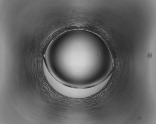 X0000115641158200911101510