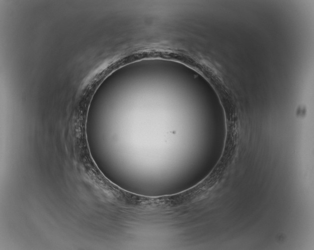 X0000115641159200911101510