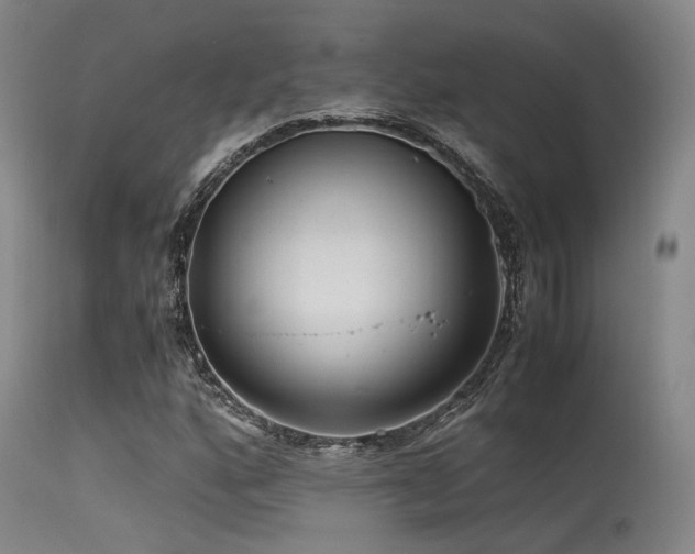 X0000115641160200911101510