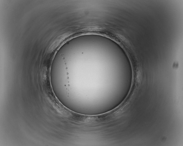 X0000115641161200911101510