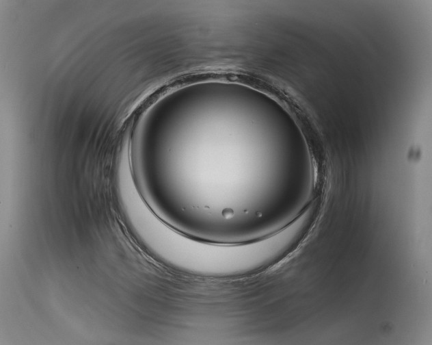 X0000115641162200911101510