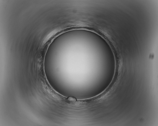 X0000115641163200911101510