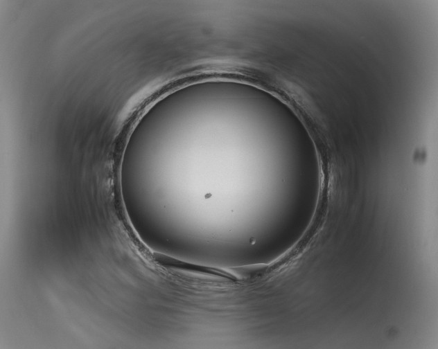 X0000115641164200911101510
