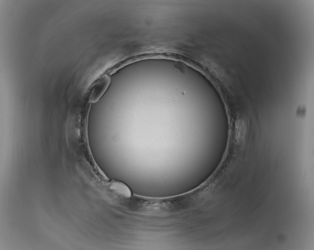X0000115641165200911101510