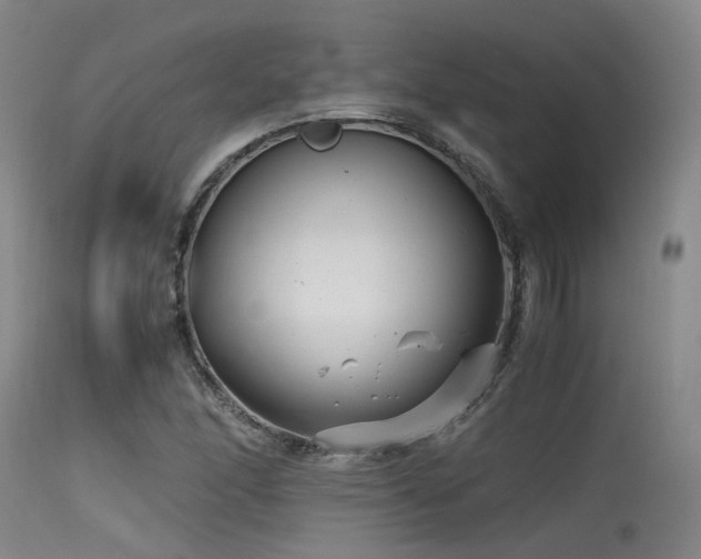 X0000115641166200911101510