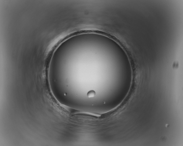 X0000115641167200911101510
