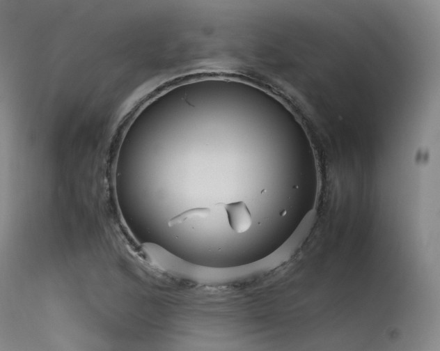 X0000115641168200911101510