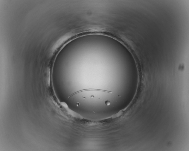 X0000115641171200911101510