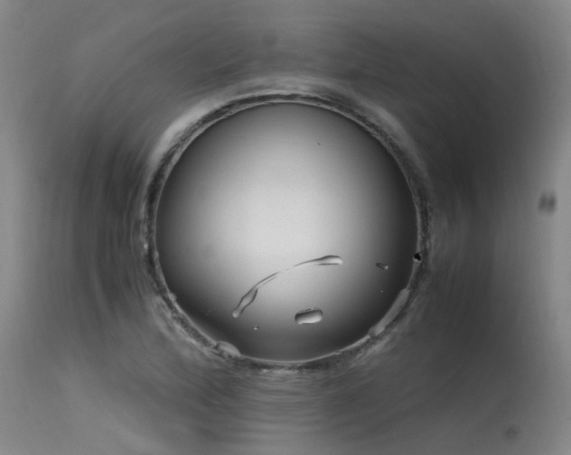 X0000115641172200911101510