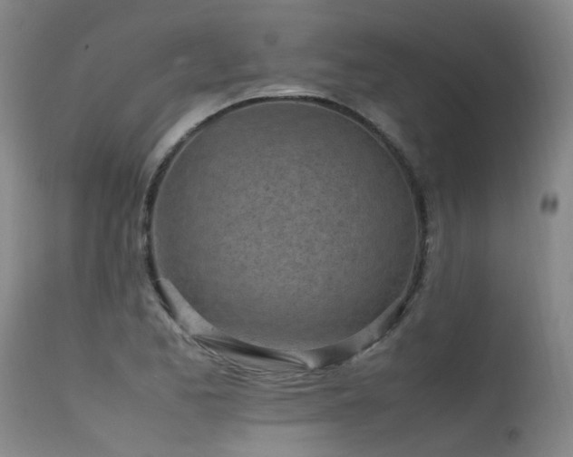 X0000115641173200911101510