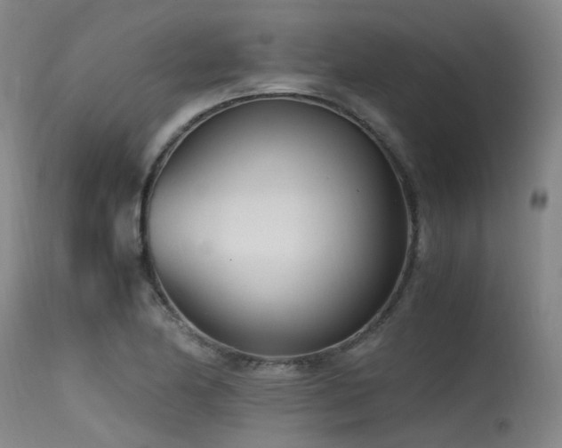 X0000115641174200911101510