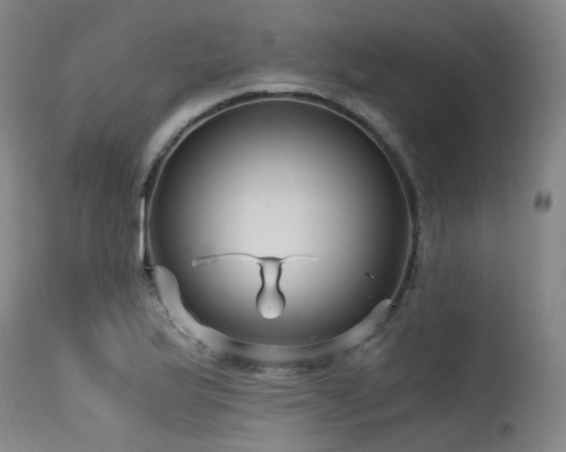 X0000115641175200911101510