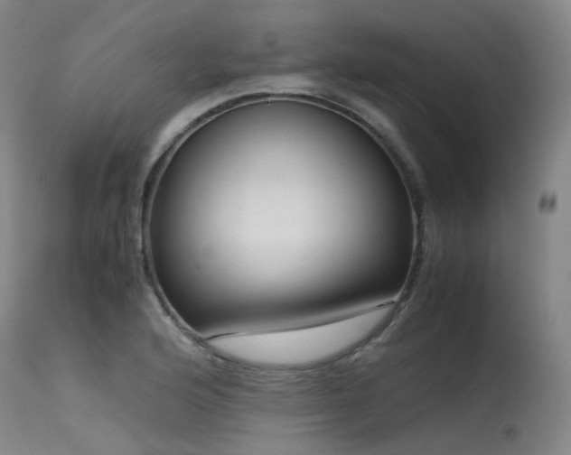X0000115641176200911101510