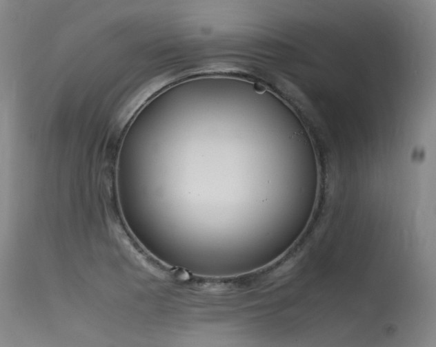 X0000115641177200911101510