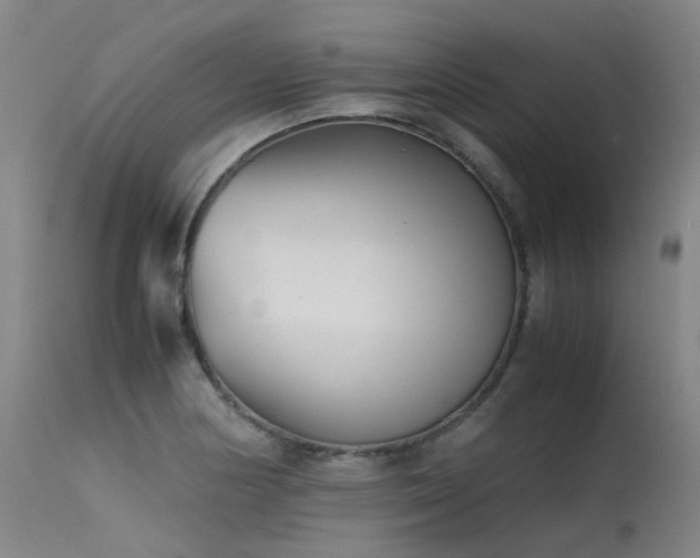 X0000115641178200911101510