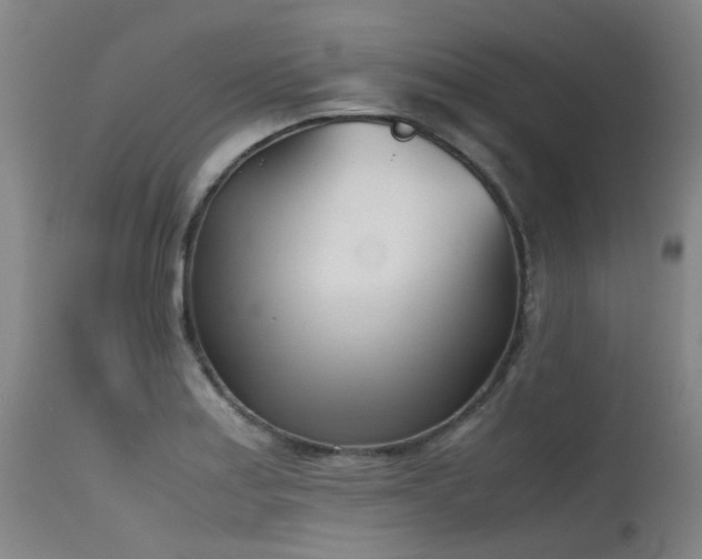 X0000115641179200911101510