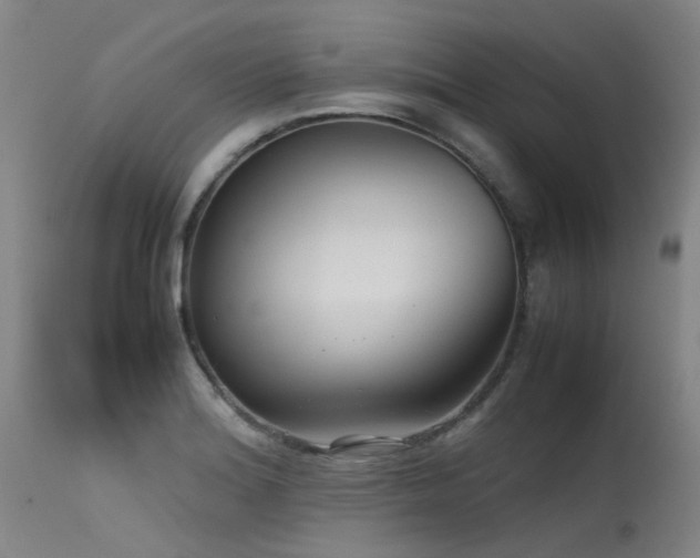 X0000115641180200911101510