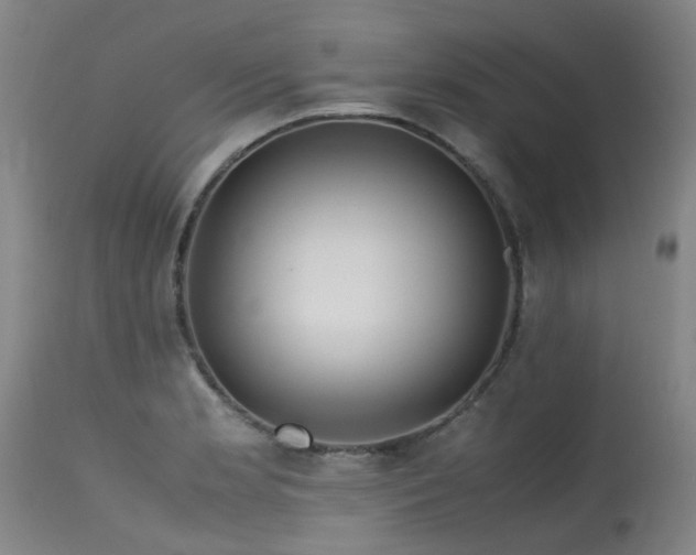 X0000115641181200911101510