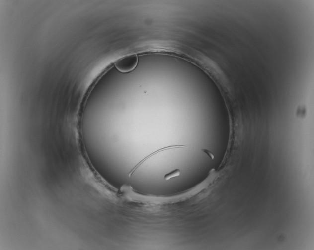X0000115641182200911101510