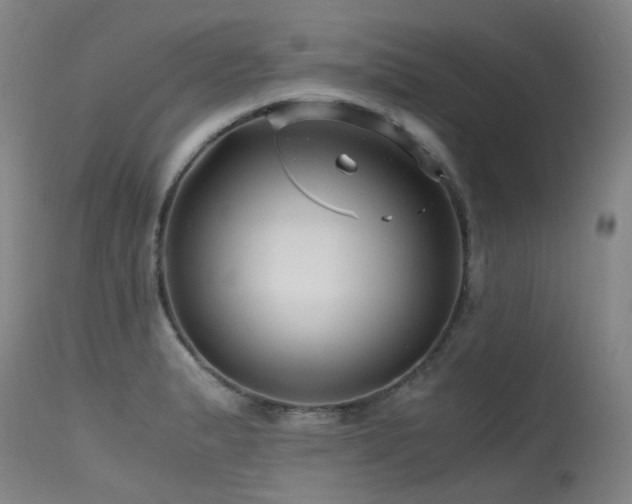 X0000115641183200911101510
