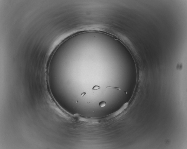 X0000115641184200911101510