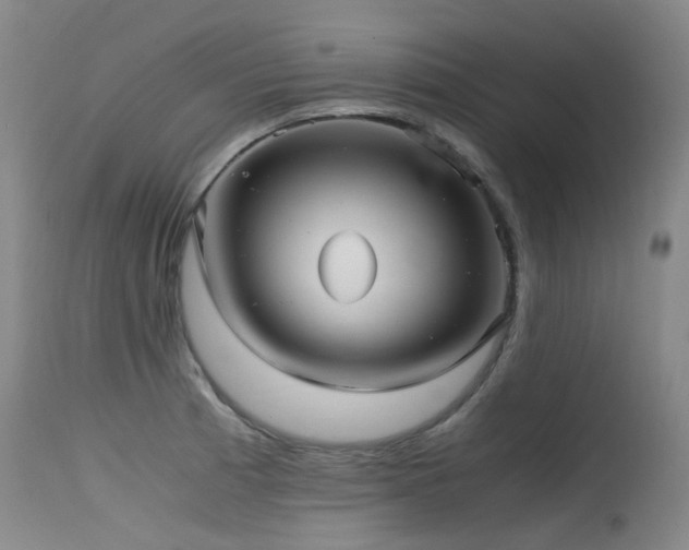 X0000115641185200911101510