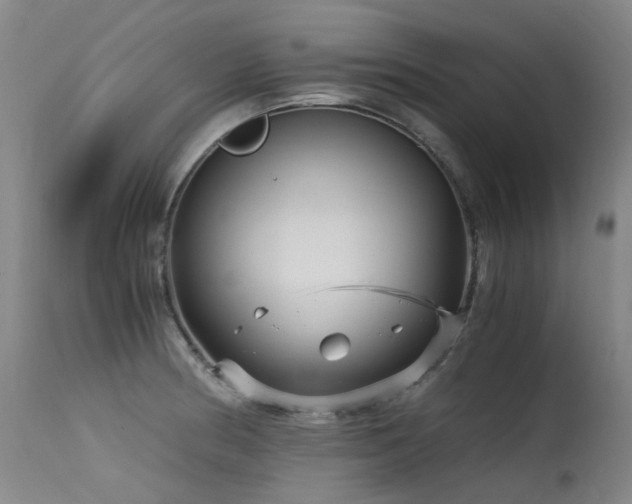 X0000115641186200911101510