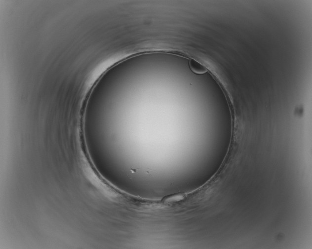 X0000115641187200911101510