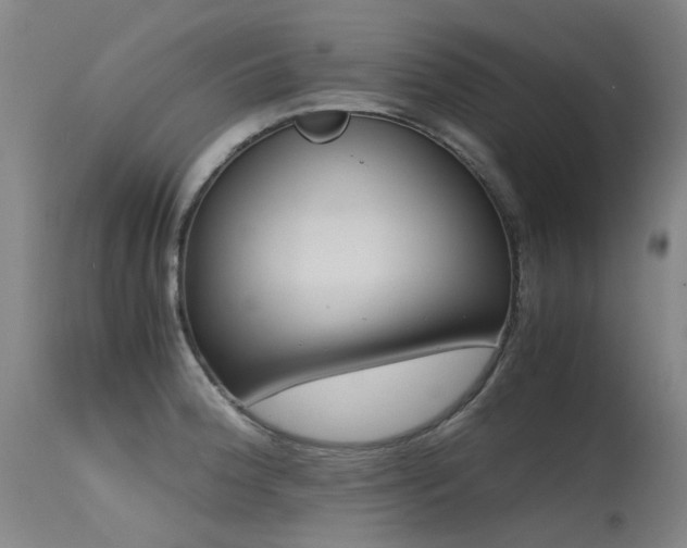 X0000115641188200911101510