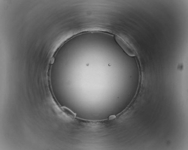 X0000115641189200911101510
