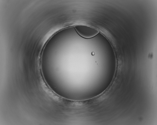 X0000115641190200911101510