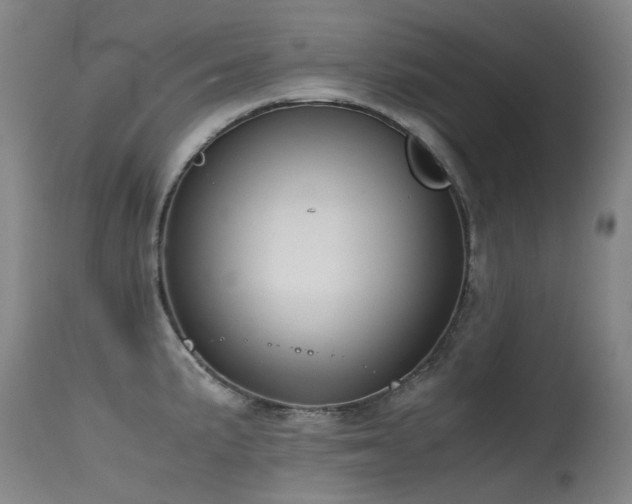 X0000115641191200911101510