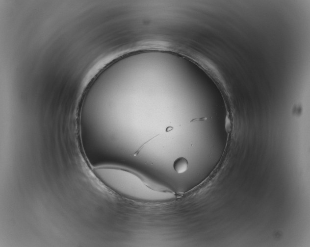 X0000115641192200911101510