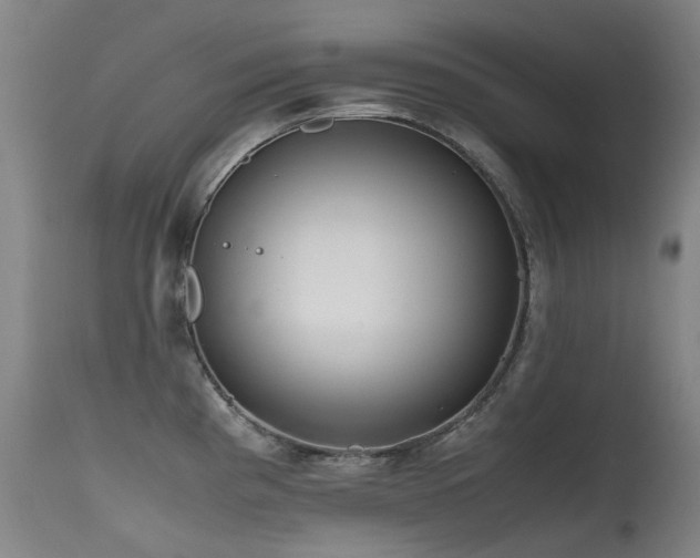 X0000115641193200911101509