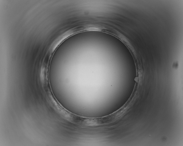 X0000115641194200911101509