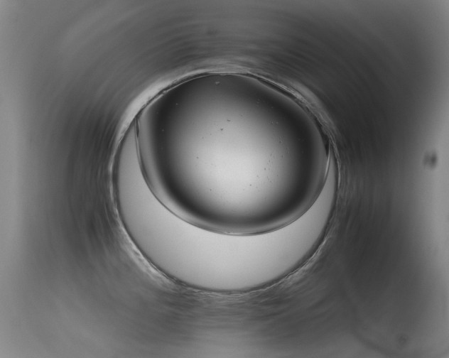 X0000115641196200911101509