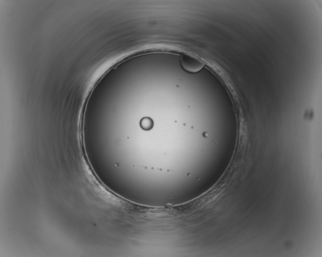 X0000115641199200911101509