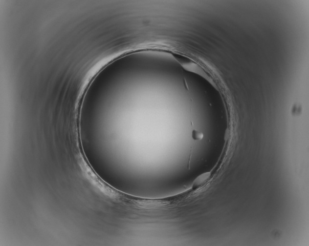 X0000115641200200911101509