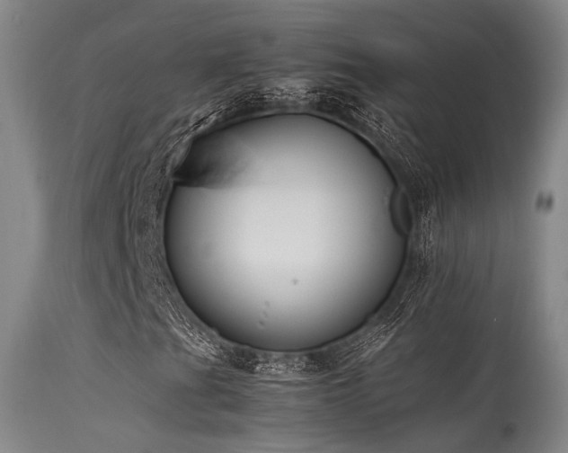 X0000115641201200911101509