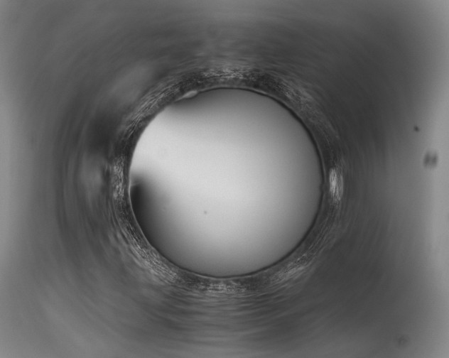 X0000115641203200911101509