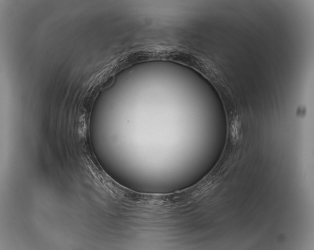 X0000115641204200911101509