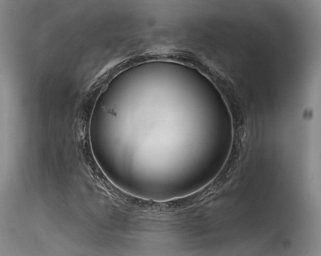 X0000115641206200911101509