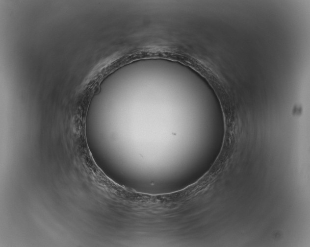 X0000115641207200911101509