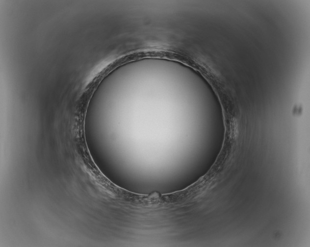 X0000115641208200911101509