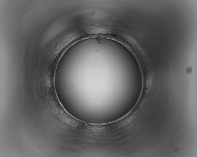 X0000115641209200911101509