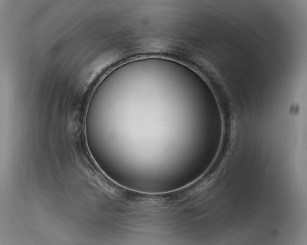 X0000115641210200911101509