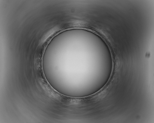 X0000115641211200911101509