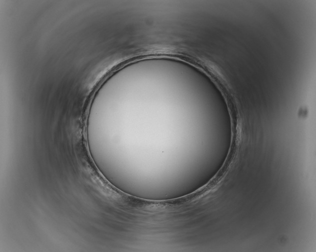 X0000115641212200911101509