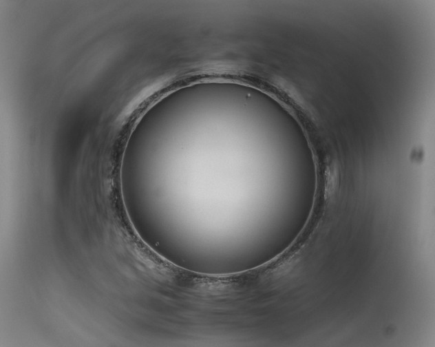 X0000115641213200911101509