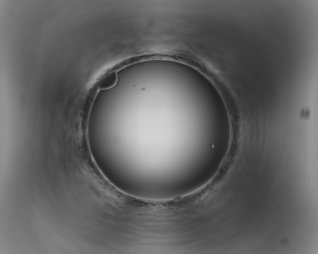 X0000115641214200911101509